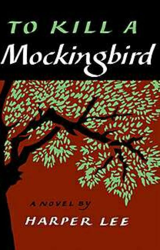 To kill a mocking bird (summaries) by TareekDuval