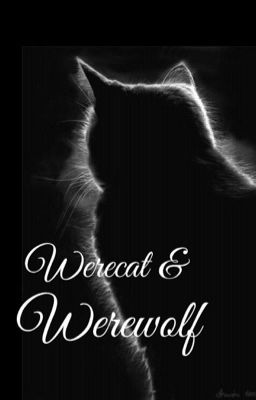 Werecat & werewolf (Editing) #watties2016 cover