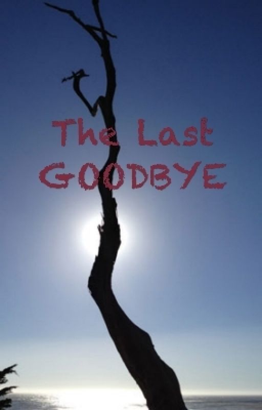 The Last Goodbye - Merely 15 Words by Dlg23uk