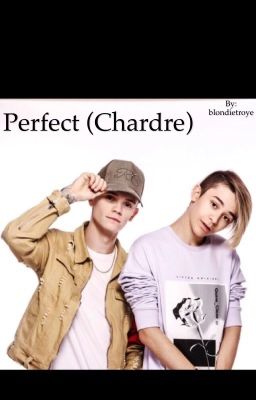 Perfect (Chardre) [COMPLETED] cover