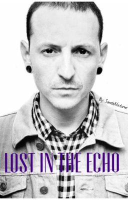 Lost in the echo cover