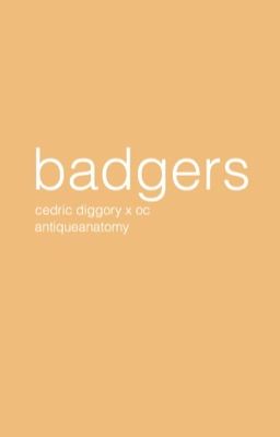 BADGERS ○ CEDRIC DIGGORY cover