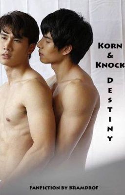 Korn & Knock - Destiny  (Together With Me Series) (Bad Romance) cover