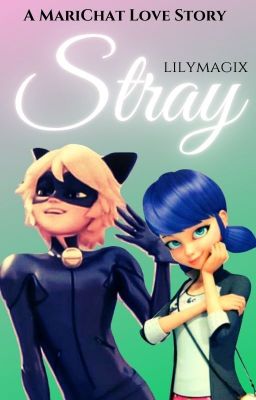 Stray ~ A MariChat Love Story (Complete) cover