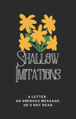 Shallow Imitations cover