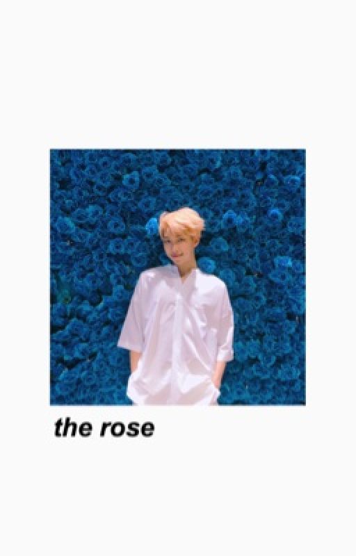 the rose | knj ✔️ by mymoonsorbit