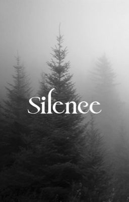 Silence cover