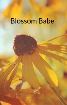 Blossom Babe cover