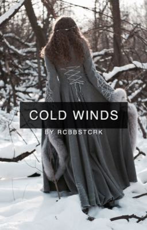 cold winds | jon snow & robb stark  by rcbbstcrk