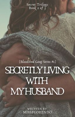 BGS #1: Secretly Living with My Husband (Book 2 of 3) cover