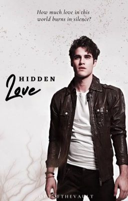 Hidden Love (Klaine, BadBoy!Blaine) cover