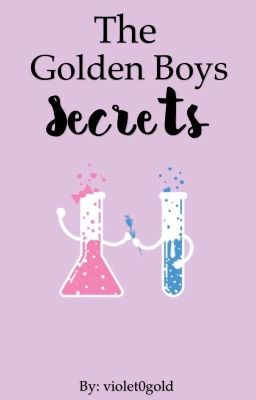 The Golden Boys Secrets  cover