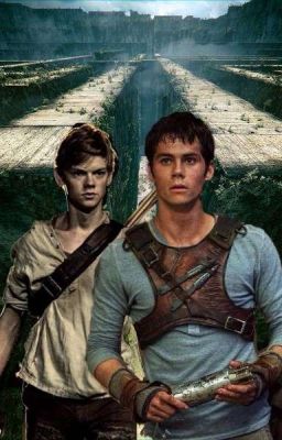 The Maze Runner | Verirrt in der Liebe | Newtmas cover