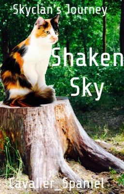 Shaken Sky cover