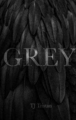 Grey cover