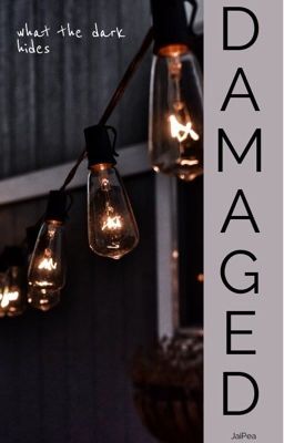 Damaged // C.B. cover