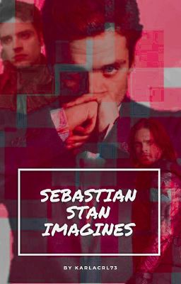 Sebastian Stan Imagines x reader cover