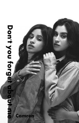 Don't you forget about me ( Camren ) cover