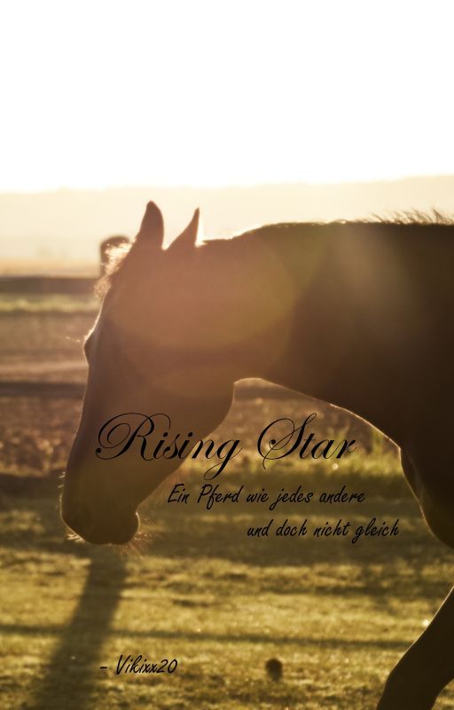 Rising Star - Ein Pferd wie jedes andere und doch nicht gleich by Vikixx20