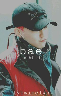 bae [hoshi ff] cover