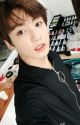 jungkook ff ~ idol's love by svtandbpstan