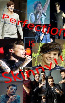 Perfection IS Skinny!! {L.T} [Larry Stylinson] cover