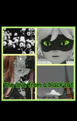 The Love From A Black Cat (Cat Noir X Reader) cover