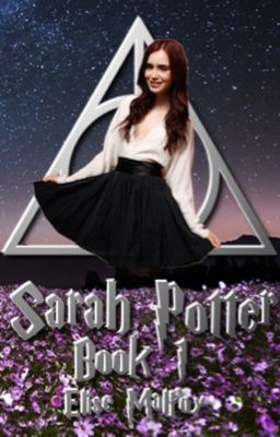 Sarah Potter (book 1) cover