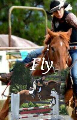 Fly cover