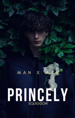 Princely [MxM] cover