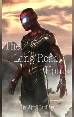 The Long Road Home cover