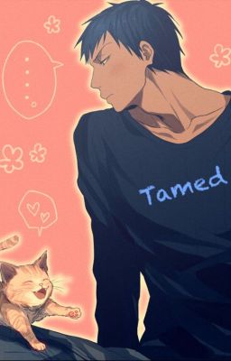 Tamed {Aomine x Reader} cover