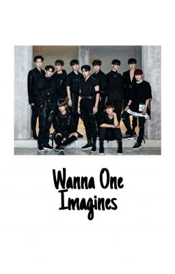 Produce 101/Wanna One Imagines cover