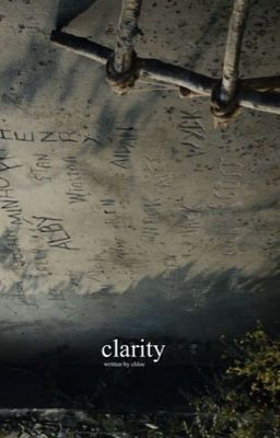 CLARITY, (newt.) cover