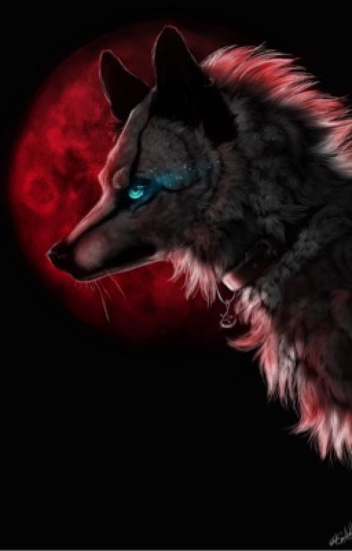 Wolf AU by AlycaTheAlpaca