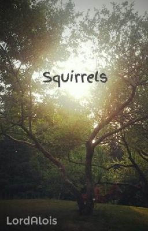 Squirrels by LordAlois