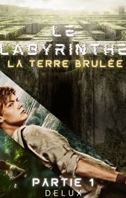 Le labyrinthe : La Terre Brûlée🔥Newt [ HISTOIRE TERMINÉE ] cover