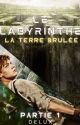 Le labyrinthe : La Terre Brûlée🔥Newt [ HISTOIRE TERMINÉE ] by ImDelux