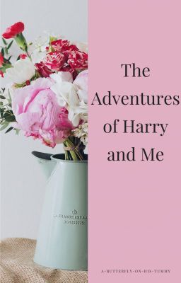 The Adventures of Harry and Me (H.S.) cover