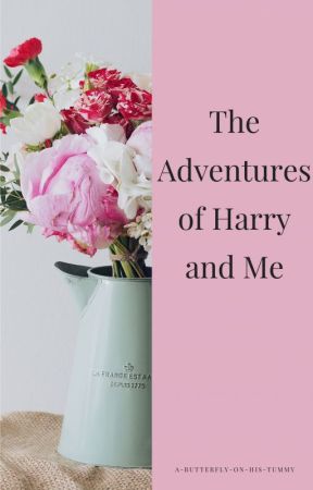 The Adventures of Harry and Me (H.S.) by abutterflyonhistummy