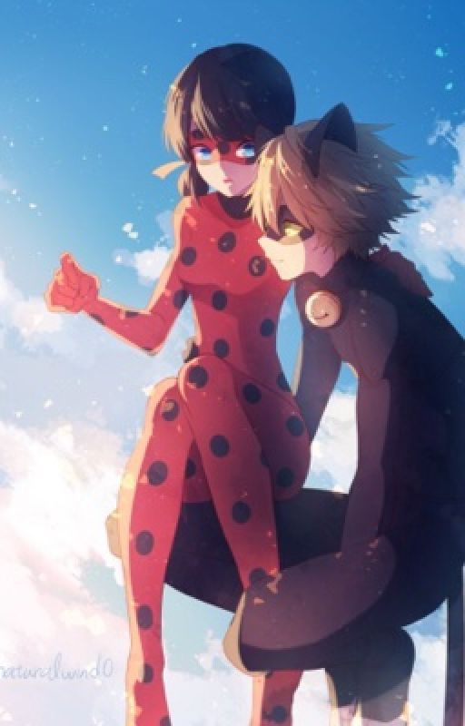 Romances of Ladybug and Cat Noir by AGirlOnPlanetEarth