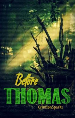 Before Thomas {A Maze Runner Fanfiction} cover