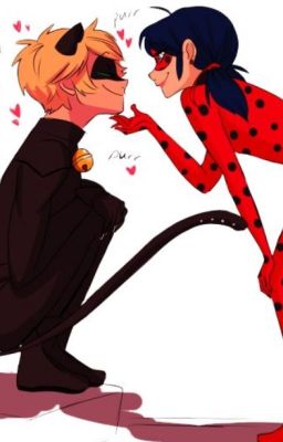 Miraculous Identities cover