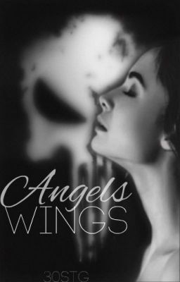 Angel's Wings // Frank Castle (2 Book) cover