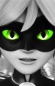 Cat Got Your Tongue?  (Chat Noir x Male Reader) by MeekoMunroe