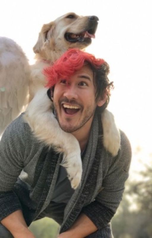 Tyler's Sister (Markiplier x Reader) by 1magineWriter