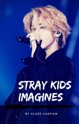 Stray Kids Imagines cover