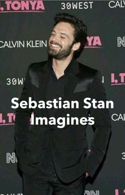 Sebastian Stan imagines || complete cover