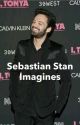 Sebastian Stan imagines || complete by marvel-rhapsody