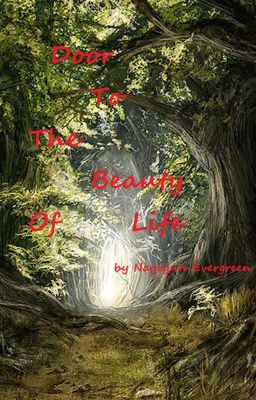 The Door To The Beauty Of Life cover